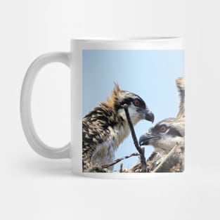 Osprey Family Mug